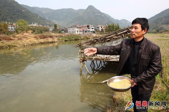 溪魚養殖成為赤溪村民吳伏淡脫貧致富的好路子.JPG
