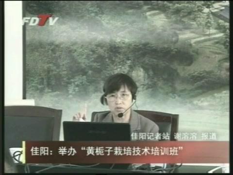 佳陽：舉辦“黃梔子栽培技術培訓班”