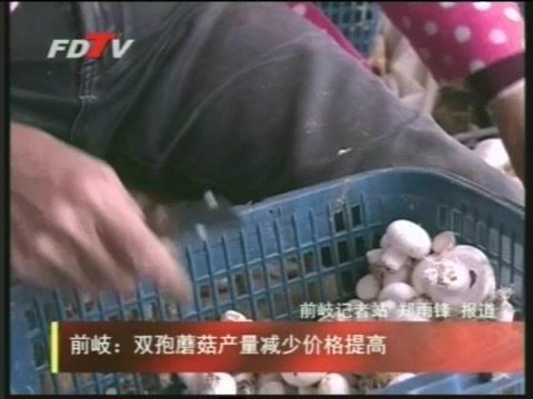 前岐：雙孢蘑菇產量減少價格提高