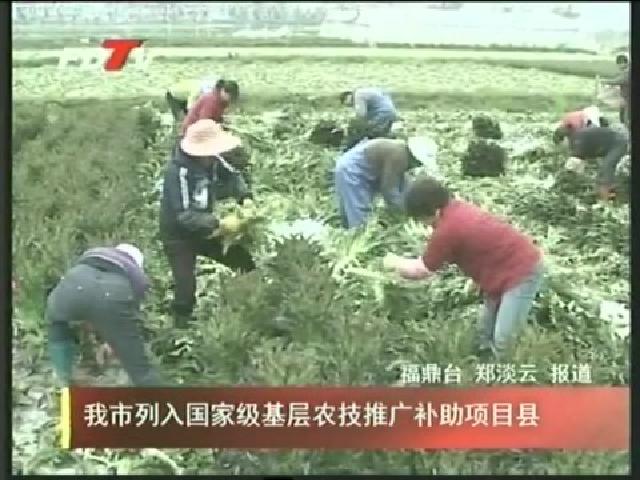 我市列入國家級基層農技推廣補助項目縣