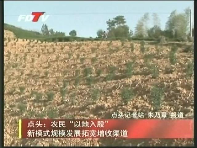點頭：農民“以地入股”新模式規模發展拓寬增收渠道