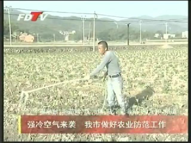 強冷空氣來襲 我市做好農業防范工作