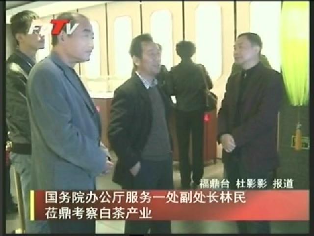 國務院辦公廳服務一處副處長林民蒞鼎考察白茶產業