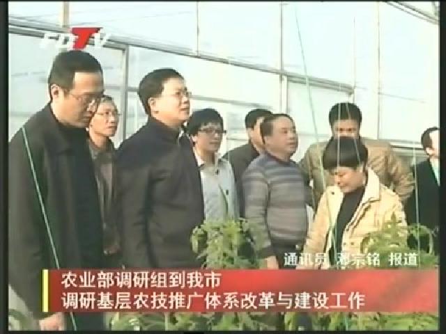 農業部調研組到我市調研基礎農技推廣體系改革與建設工作