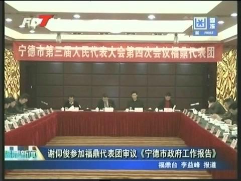 謝仰俊參加福鼎代表團審議《寧德市政府工作報告》