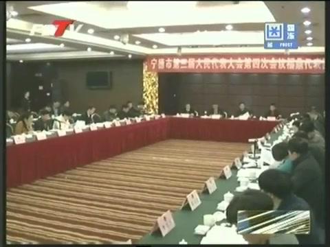 福鼎代表團認真審議《寧德市政府工作報告》