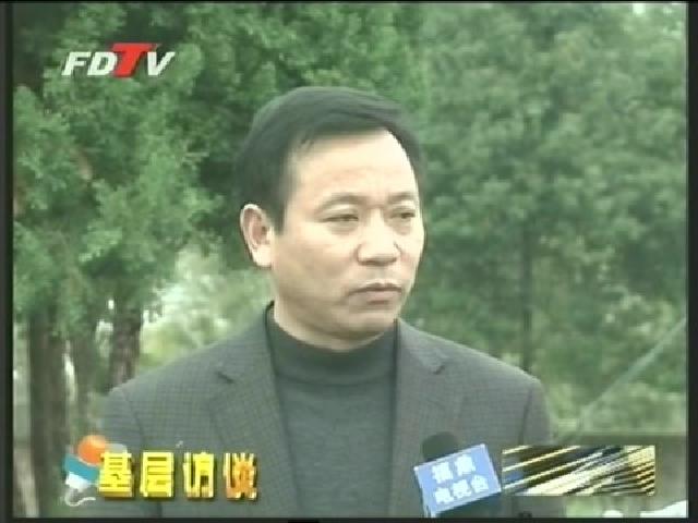 前岐：立足群眾服務 加快美麗新前岐建設