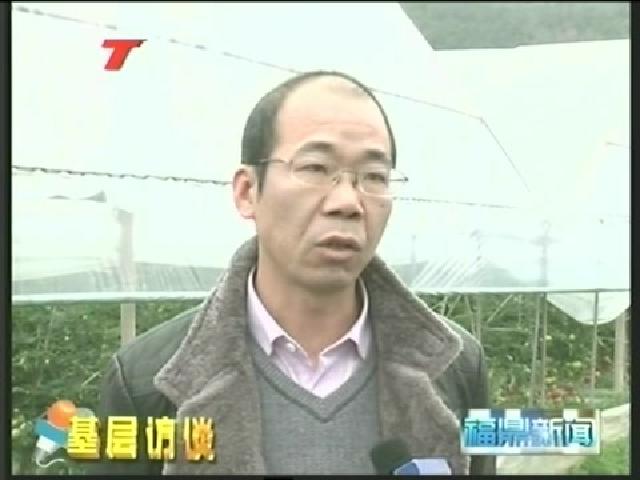 佳陽：爭創全國生態鄉鎮 努力實現百姓富生態美