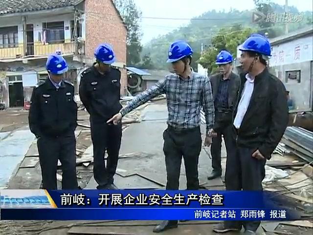 前岐：開展企業安全生產檢查