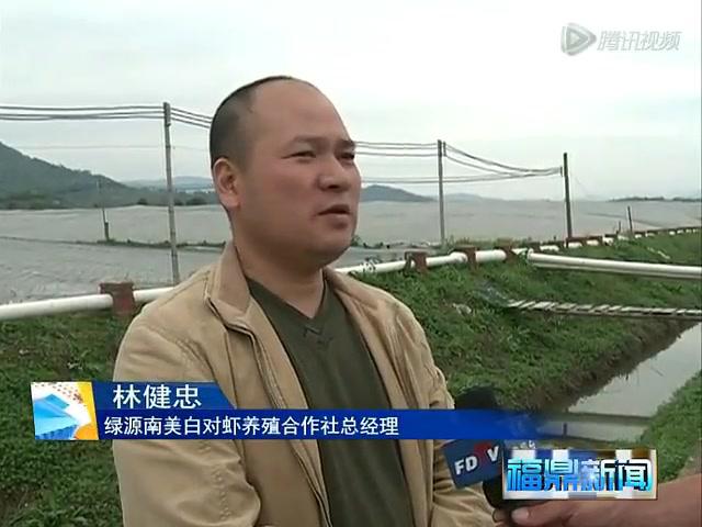 白琳：對蝦養殖改一年一茬為一年三茬