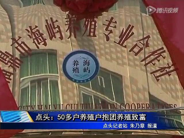 點頭：50多戶養殖戶抱團養殖致富