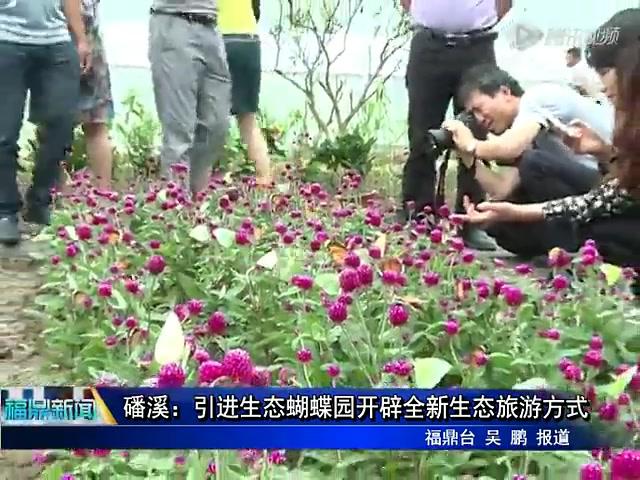 磻溪：引進生態蝴蝶園開辟全新生態旅游方式