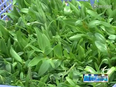 貫嶺：“一村一品”發展特色農業