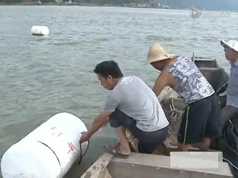 點頭：設500個航道浮標保障船只航行安全