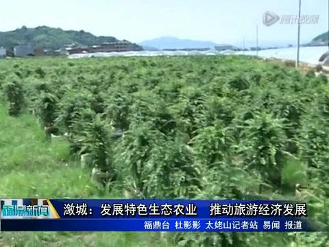 瀲城：發展特色生態農業 推動旅游經濟發展