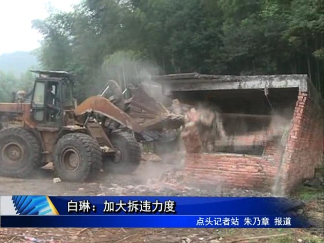 “依法依規 全力拆違”白琳：加大拆違力度