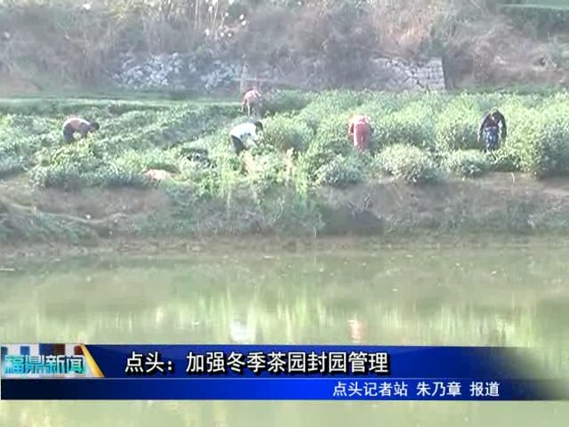 點頭：加強冬季茶園封園管理