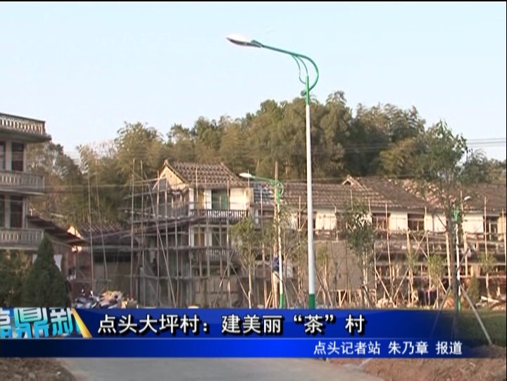 點頭大坪村：建美麗“茶”村