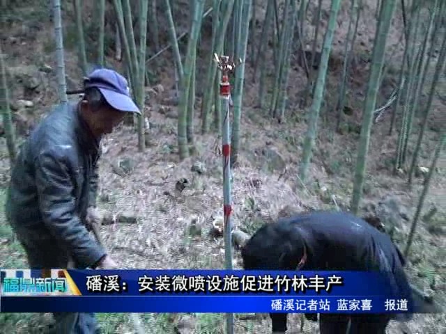 磻溪：安裝微噴設施促進竹林豐產