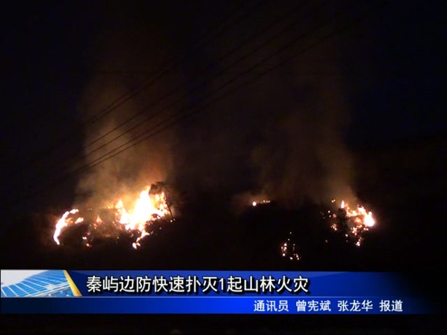 秦嶼邊防快速撲滅1起山林火災