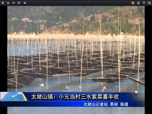 太姥山鎮：小元當村三水紫菜喜豐收