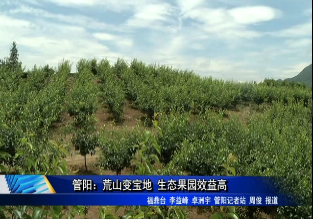 管陽：荒山變寶地 生態果園效益高