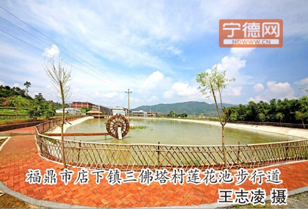 福鼎市店下鎮三佛塔村蓮花池步行道.jpg
