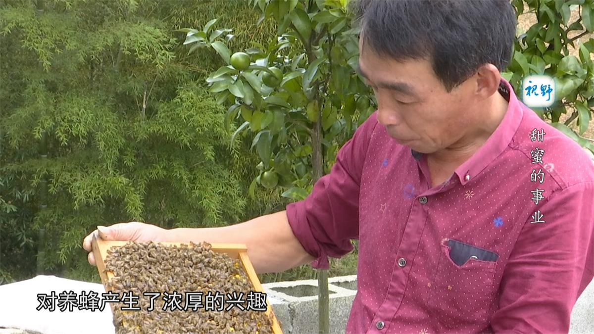 甜蜜的事業