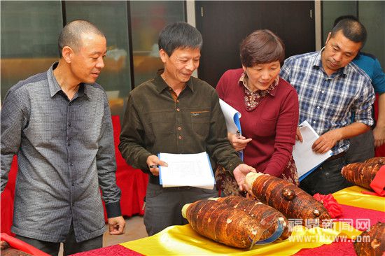 評委們對參賽檳榔芋外觀進行評分.jpg