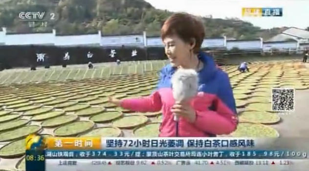CCTV2:福鼎開茶節