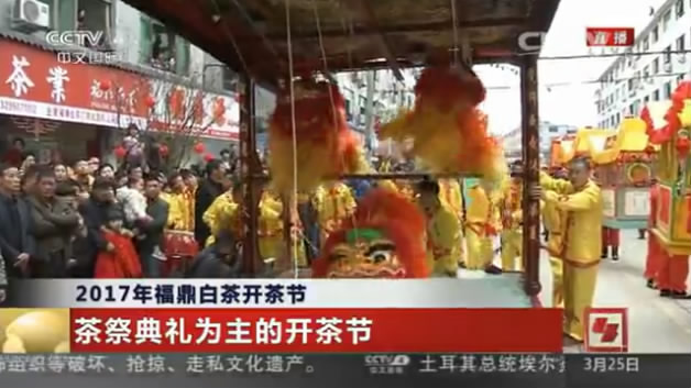 CCTV4：福鼎開茶節