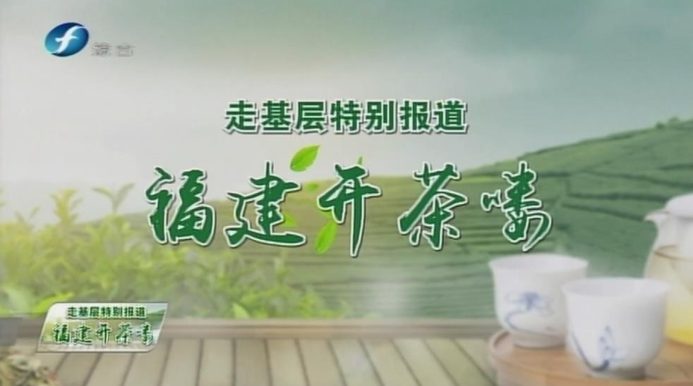 福鼎白茶開茶節