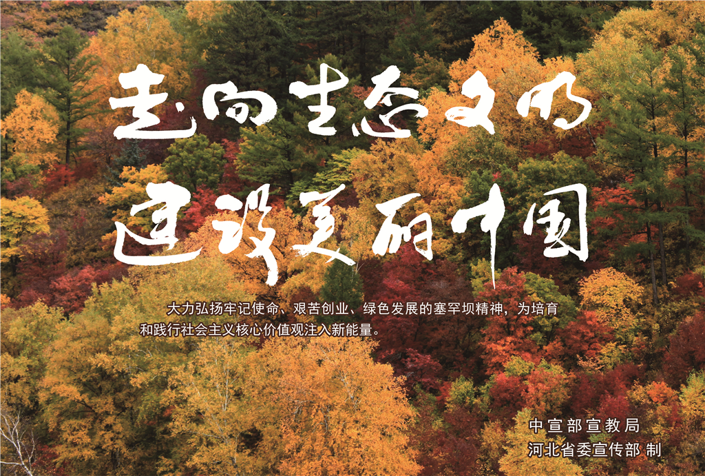 009-塞罕壩公益廣告