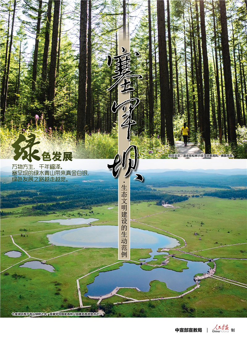 008-塞罕壩公益廣告