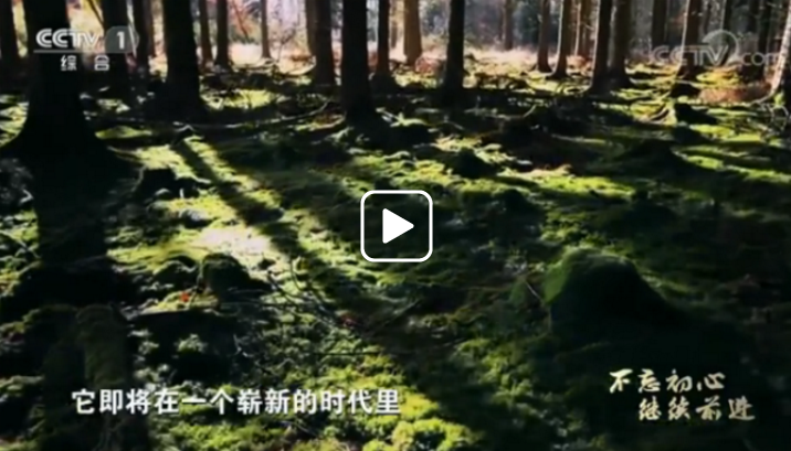 《不忘初心 繼續前進》 第二集 人民至上