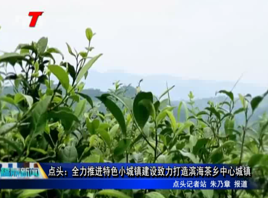 點頭：全力推進特色小城鎮建設致力打造濱海茶鄉中心城鎮