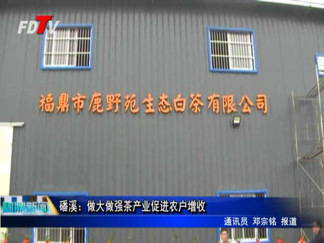 磻溪：做大做強茶產業促進農戶增收