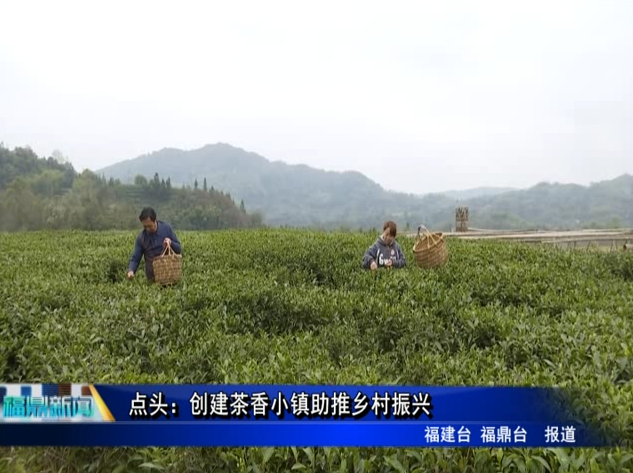 點頭：創建茶香小鎮助推鄉村振興