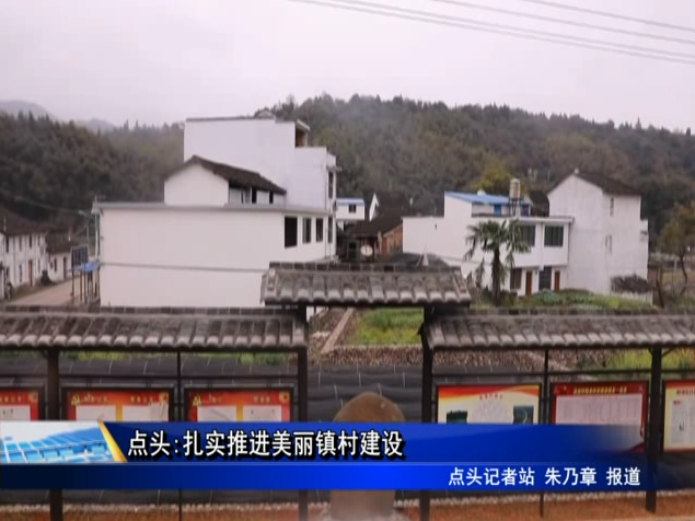點頭:扎實推進美麗鎮村建設
