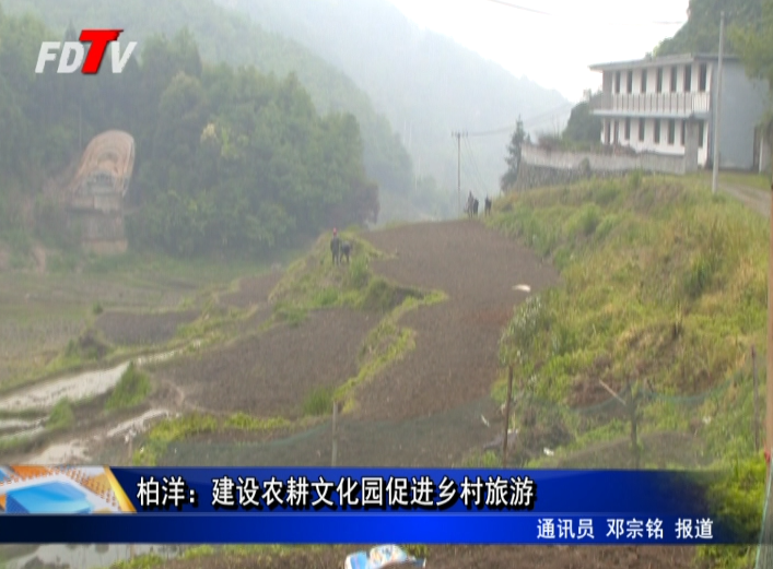 柏洋：建設農耕文化園促進鄉村旅游