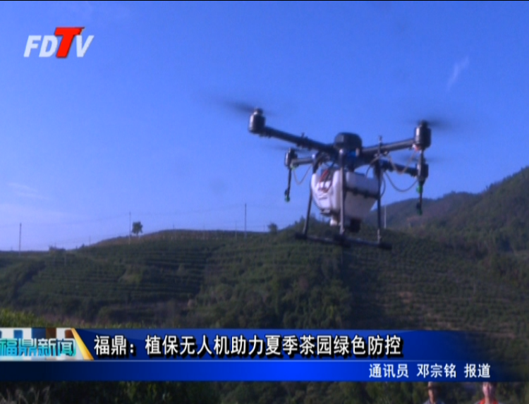 福鼎：植保無人機助力夏季茶園綠色防控