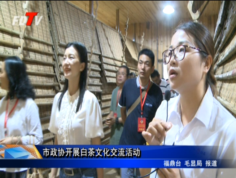市政協開展白茶文化交流活動