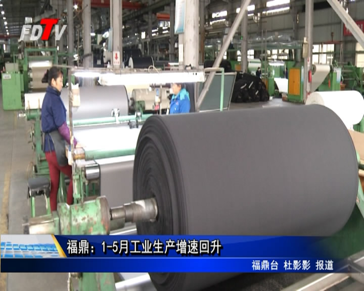福鼎：1-5月工業生產增速回升