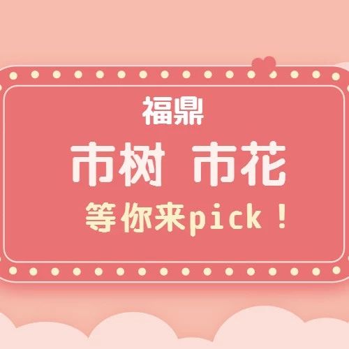 福鼎“市樹、市花”投票開始啦！快來pick你心中的NO.1吧！