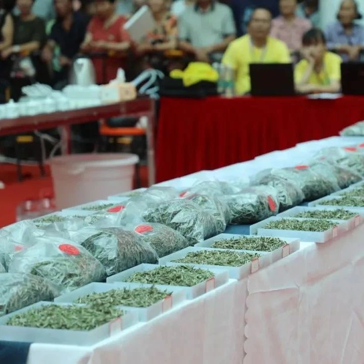點頭首屆民間斗茶賽開賽，看看都有哪些茶葉稱霸“江湖”