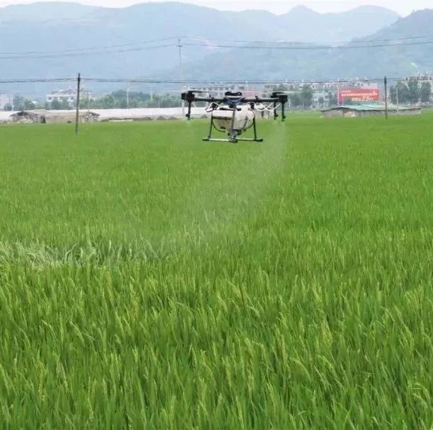 機械化助耕省時省力，福鼎農業生產再添好幫手