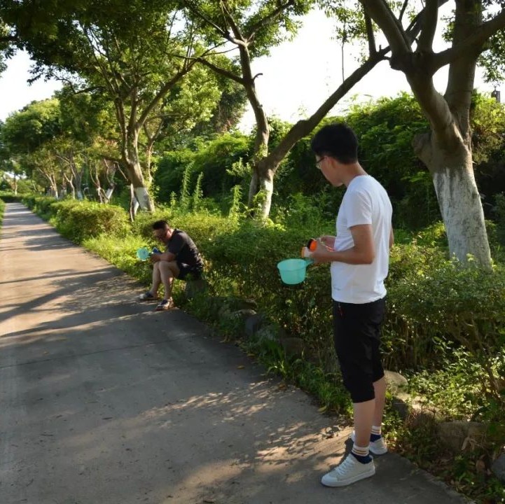 滅蚊防病很重要！打好蚊蟲“殲滅戰”，為省運會保駕護航
