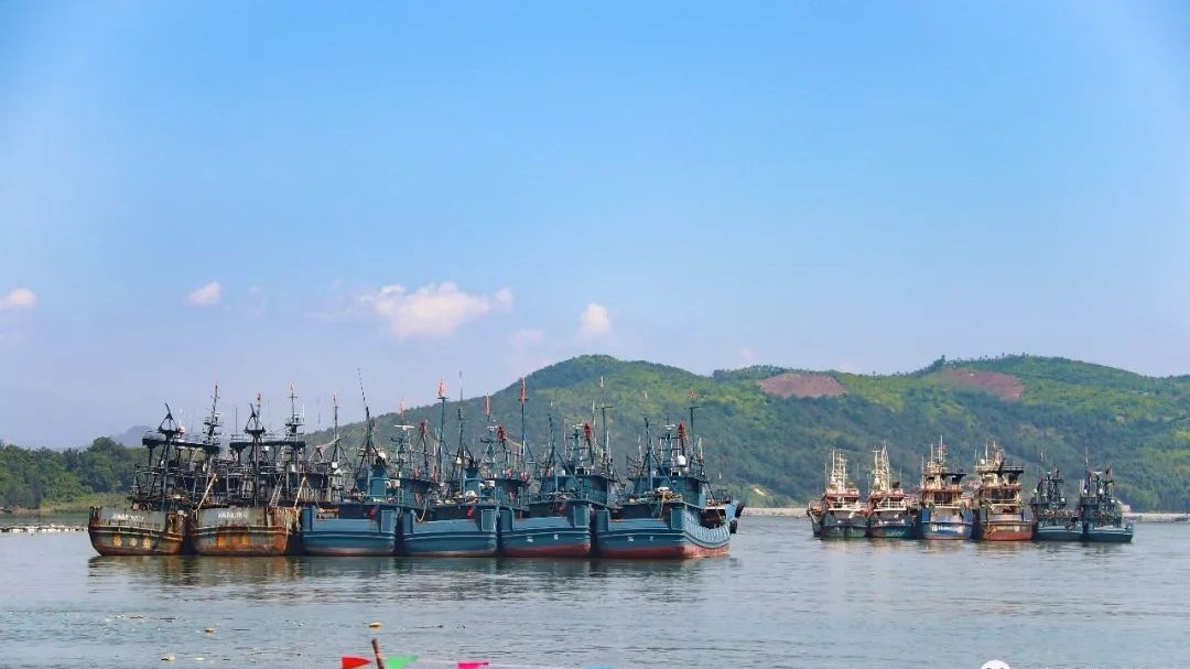 沙埕灣跨海公路通道工程又有新進展！