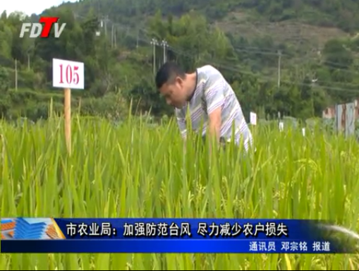 市農業局：加強防范臺風 盡力減少農戶損失