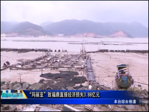 “瑪麗亞”致福鼎直接經濟損失3.88億元